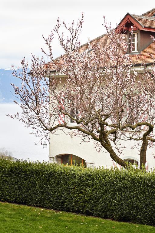 Hôtel Domaine du Burignon à Saint-Saphorin Extérieur photo